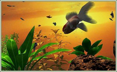 PC Aquarium screenshot